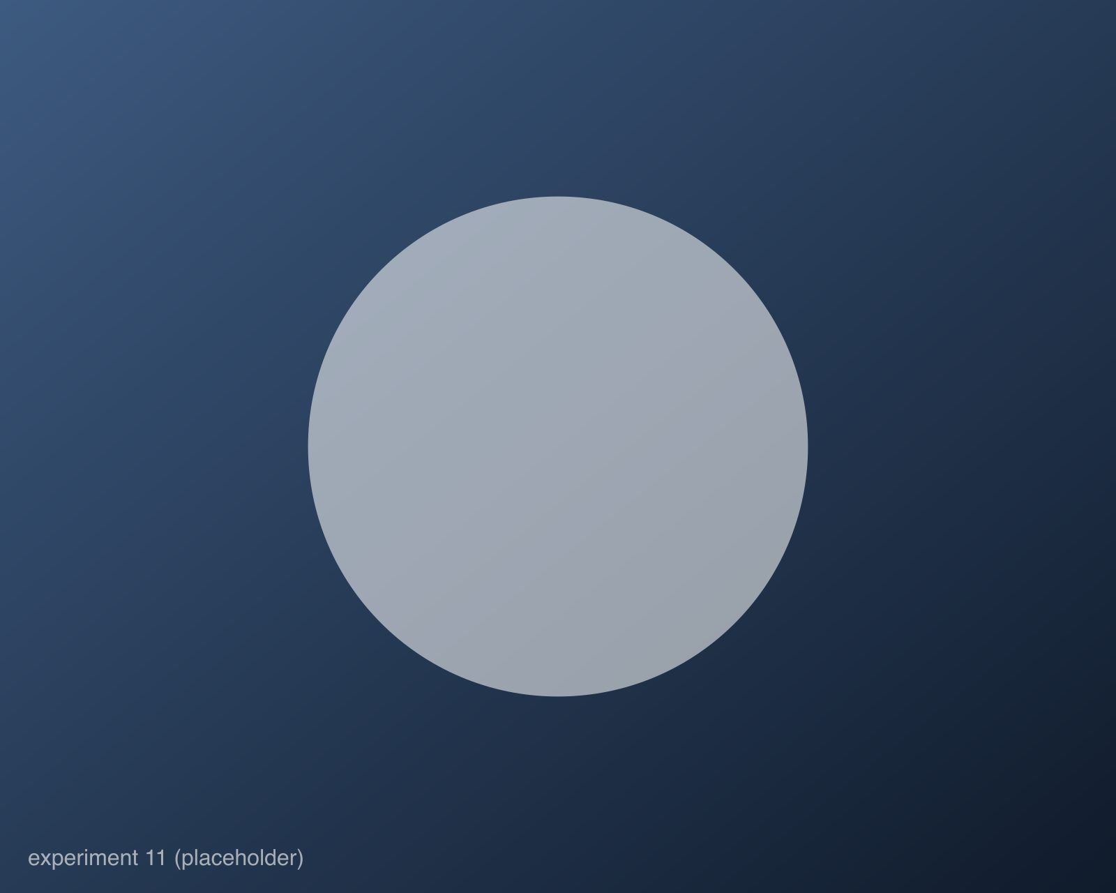 placeholder 11